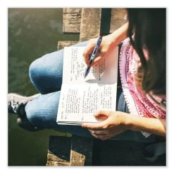 Pilot B2P Bottle-2-Pen Recycled Gel Pen, Retractable, Fine 0.7 Mm, Red Ink, Translucent Blue Barrel -Bostitch Shop 827097